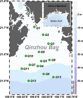 Source, distribution, and transformation of dissolved and particulate organic matters in Qinzhou Bay, Northern Beibu Gulf